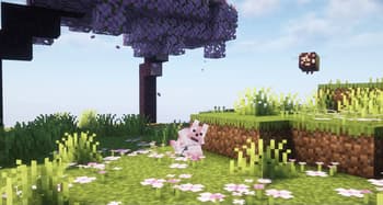 Doggy Talents Next's Palette Of Paws screenshot