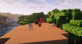 Doggy Talents Next's Palette Of Paws screenshot