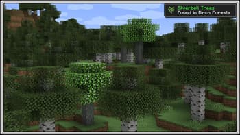 Premium Wood screenshot