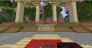 trDiscordSync screenshot