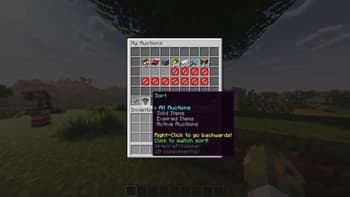 Auction House Plugin screenshot