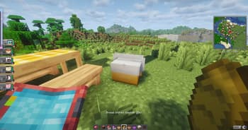 Cobblemon Picnic screenshot