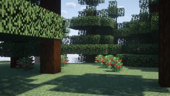 Player View Distance Controller screenshot