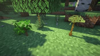 3D World Decorations screenshot
