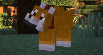 Shiba-dog screenshot