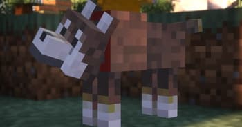 Shiba-dog screenshot