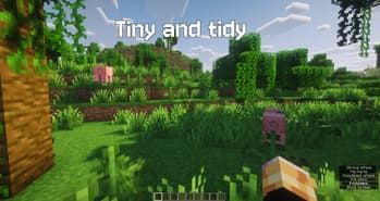 ResizeableSubtitles screenshot