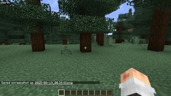 Direction HUD screenshot