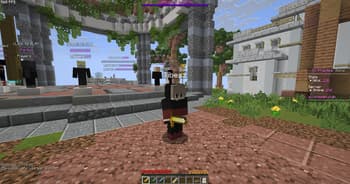WelnoX screenshot