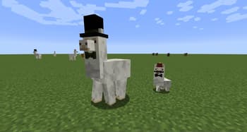Better Than Llamas screenshot