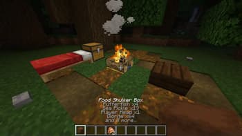 Held Item Info screenshot