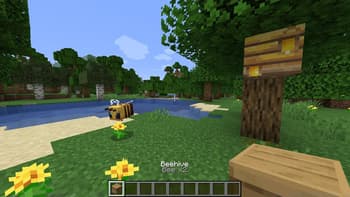 Held Item Info screenshot