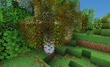 Reshaped Vanilla screenshot