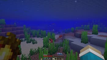 Simple Armor Hud screenshot