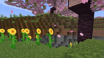 Biome Dirt screenshot