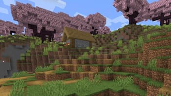 Biome Dirt screenshot