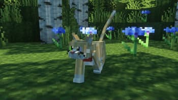 Better Cats x Fresh Animations screenshot