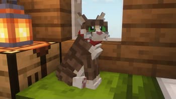 Better Cats x Fresh Animations screenshot