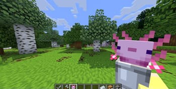 Fresh & Stuff screenshot