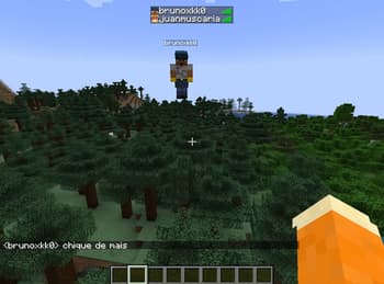 Friendlist & P2P Play Backport screenshot