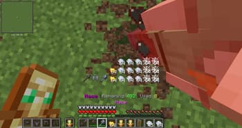 LoKendGat's pvp modpack screenshot