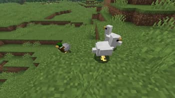Pets Natural screenshot