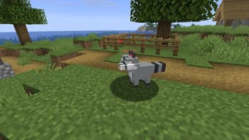 Pets Natural screenshot