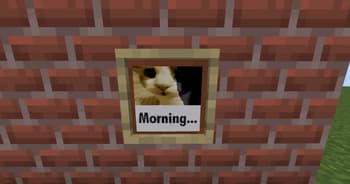Soggy Cat Compasses and Clock screenshot