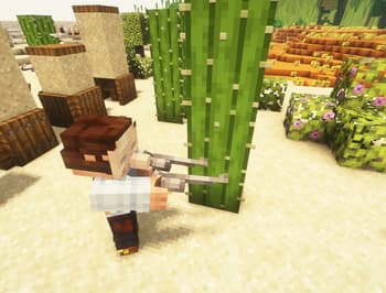 Muskets 3D Wild West for Ewewkek's screenshot