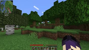 Sodium Fps+ screenshot