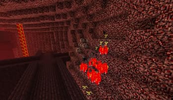 Oak Sapling screenshot