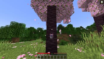 Display Frames screenshot