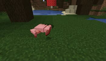 Butcher's Delight Foods screenshot