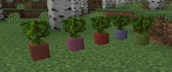 Arts & Crafts Compatibility screenshot