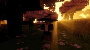 Ashen Witch Broom screenshot