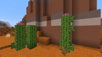 Fancy Cactus screenshot