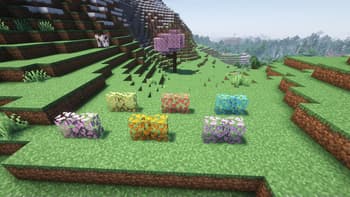 Macaw's Quark screenshot