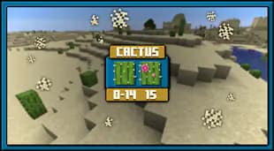 Blockstates + screenshot