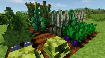 Flavor Immersed Daily screenshot
