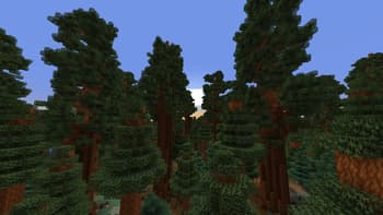 Mariposa screenshot