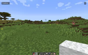 PVP Trainer screenshot