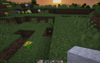 PVP Trainer screenshot