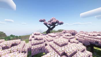 Giant Cherry Blossom Bonsai Tree screenshot