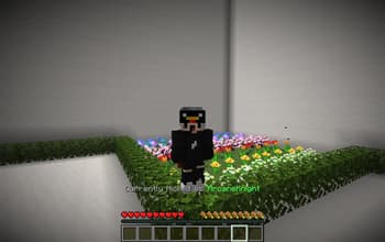 MatchboxPlugin screenshot