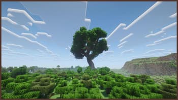 Giant Oak Tree screenshot