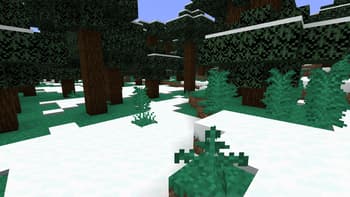 100% Saturation Grass 1.8 -> 26.1.2 screenshot