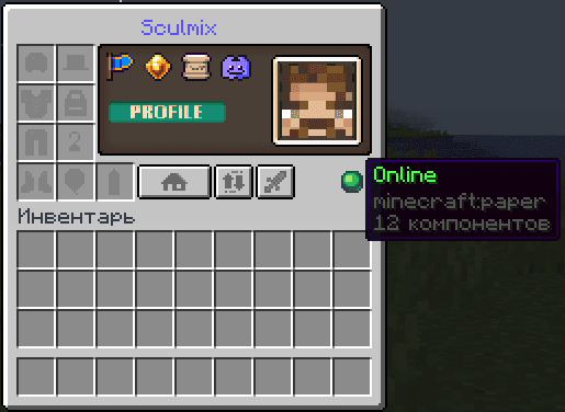 PlayerProfile screenshot