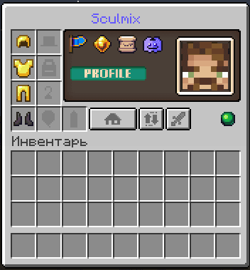 PlayerProfile screenshot
