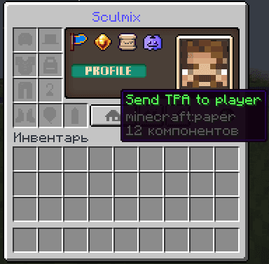 PlayerProfile screenshot