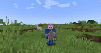 Provi's Origins screenshot